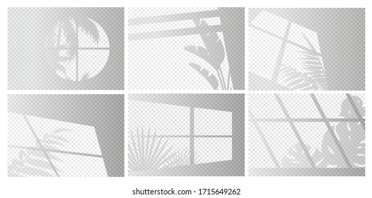 Window lights vector illustration set. Sunlight or shadow transparent overlay effect from window frames and tropical plant branch, palm tree leaves on room wall, ceiling or floor. Realistic background