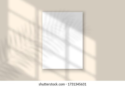 Window and Palm Leaves Shadow Overlay Mockup Design Template. Vector Realistic Shadows and Blank Paper Sheet.