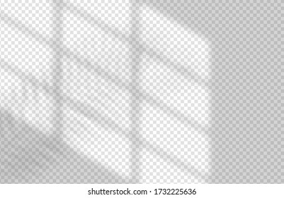 Window and Palm Leaves Shadow Overlay Mockup Design Template. Vector Realistic Shadows on transparent background.