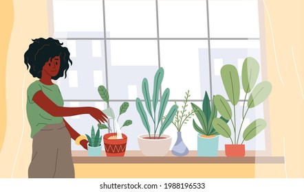 Window with plants. Cartoon woman watering houseplants. Female grows flowers on windowsill. Girl takes care of potted ficus. Home garden in city. Interior decorations. Vector gardening