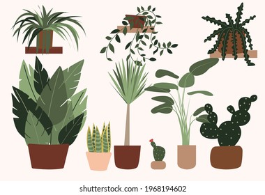 Colección de plantas de ventanas. Conjunto de varias macetas de plantas tropicales. Ilustración vectorial de estilo plano, eps 10