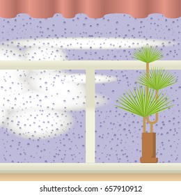 A window with Raindrops, curtains and flowers. Coloful cartoon vector illustration