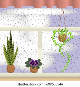A window with Raindrops, curtains and flowers. Coloful cartoon vector illustration