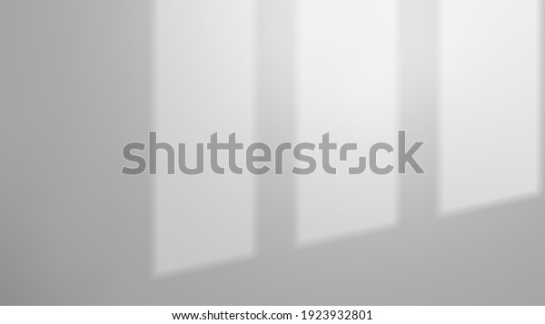 Window Shadow on White Empty Wall, Realistic\
Mockup, Vector\
Illustration