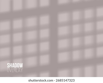 Superposición de sombra de ventana con ambiente estético