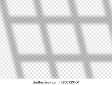 Window Shadow Overlay Background Design