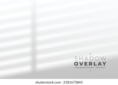 window shadow overlay effect indoor background