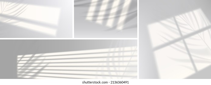 Window shadows with plant branches on wall, realistic light blinds. Overlay effect, jalousie shade on white background. Soft sunlight fall on room floor, graphic design mockup, 3d vector illustration