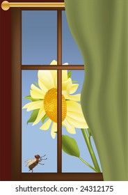 window sunflower and a fly