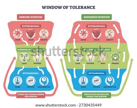 Window of tolerance brief outline shows hyperarousal, calm zone, and hypoarousal with arrows illustrating regulation between states. Outline diagram