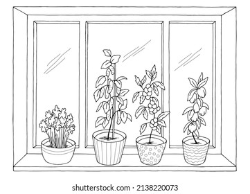 Window vegetable garden graphic black white interior sketch illustration vector