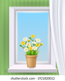 Window view in interior, spring, flower pot with flowers daisy and dandelions on windowsill, curtains. Vector illustration realistic