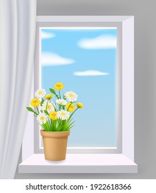 Window view in interior, spring, flower pot with flowers daisy and dandelions on windowsill, curtains. Vector illustration realistic