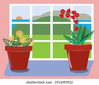 Window with white frame and two room flowers in red pots