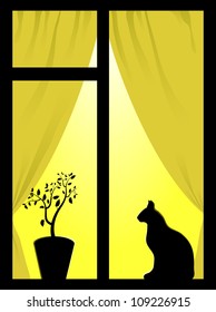 Window with yellow light, plant and cat