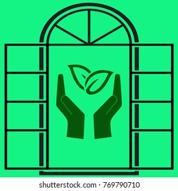 window.leaf icon, vector icon