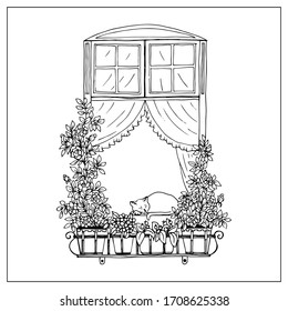 Windows with flowers pots. Hand draw doodle graphics. 