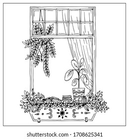 Windows with flowers pots. Hand draw doodle graphics. 