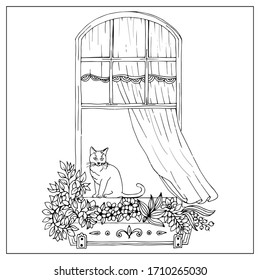 Windows with flowers pots. Hand draw doodle graphics.