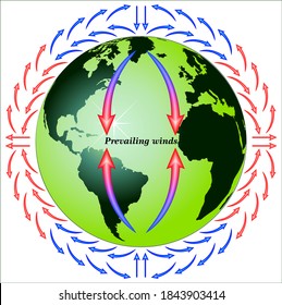 Winds and the Coriolis Effect 