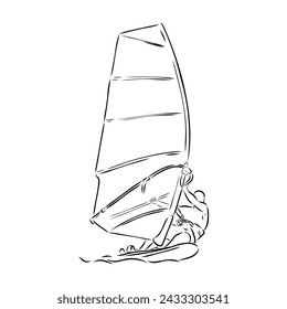 Windsurfing sketch. Vector illustration. windsurfing vector