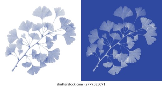 Windswept wild grass cyanotype photogram reed vector in indigo for prairie meadow wall art and printable boho textile design.