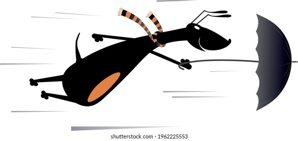 Windy day and dog flies with umbrella illustration.
Cartoon dachshund with an umbrella gone with the wind isolated on white
