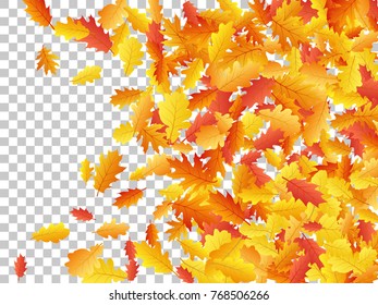 Windy flying oak leaf abstract background seasonal vector illustration. Autumn leaves falling graphic design. Fall season specific vector background. Oak tree autumn foliage on transparent.