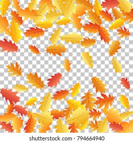 Windy flying oak leaf abstract background seasonal vector illustration. Autumn leaves falling graphic design. Fall season specific vector background. Oak tree autumn foliage on transparent.