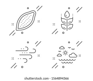 Windy weather, Cocoa nut and Gluten free line icons set. Travel sea sign. Wind, Vegetarian food, Bio ingredients. Summer holidays. Nature set. Line windy weather outline icon. Vector