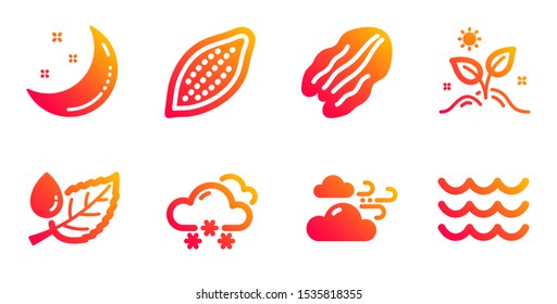 Windy weather, Cocoa nut and Pecan nut line icons set. Moon stars, Snow weather and Grow plant signs. Leaf dew, Waves symbols. Cloud wind, Vegetarian food. Nature set. Vector