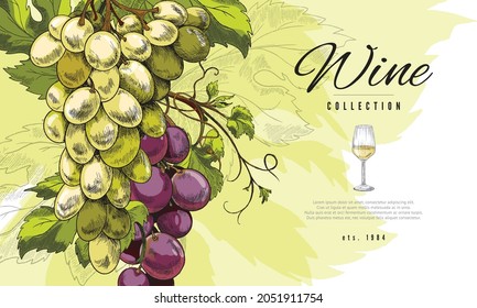 Wine banner or label design with bunch of fresh grape in hand drawn vintage style, vector illustration. Grape wine advertising banner or sticker for bottles.