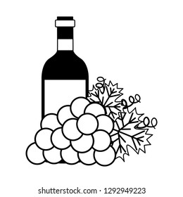 wine bottle bunch fresh grapes vector illustration
