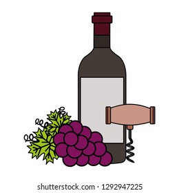 wine bottle corkscrew grapes on white background vector illustration