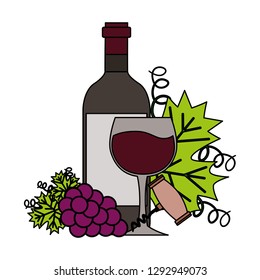 wine bottle cup corkscrew bunch fresh grapes vector illustration
