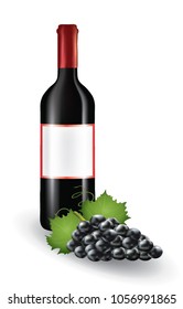 Wine bottle with grapes. vector illustration