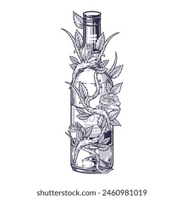 Wine bottle monochrome vintage element with delicious alcoholic drink and mysterious flower with thorns on stem vector illustration