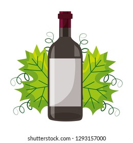 wine bottle and natural leaf