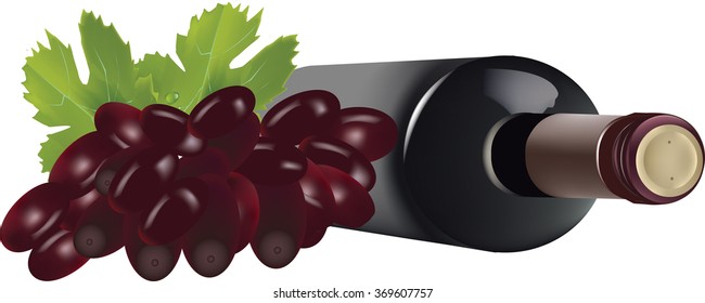 Wine bottle on its side with a bunch of black grapes