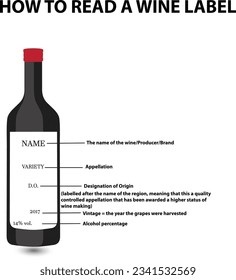 Wine bottle with the text how to read a wine label