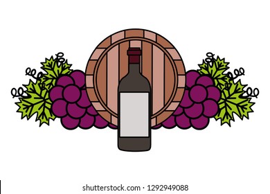 wine bottle wooden barrel grapes vector illustration