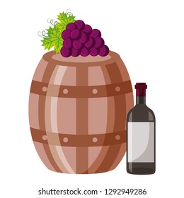 wine bottle wooden barrel grapes vector illustration