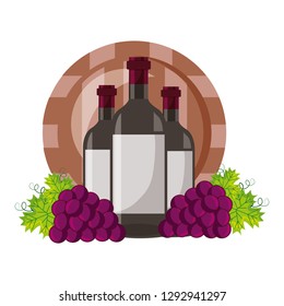 wine bottles and barrel grapes on white background vector illustration