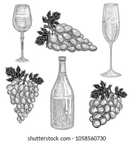 Wine bottles, bunch of grapes and glass with grape light wine. Hand drawn vector illustration.