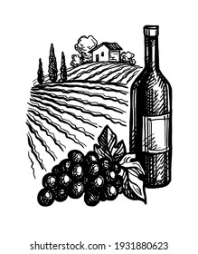 Wine bottles and bunch of grapes. Vineyard landscape. Ink sketch isolated on white background. Hand drawn vector illustration. Retro style.