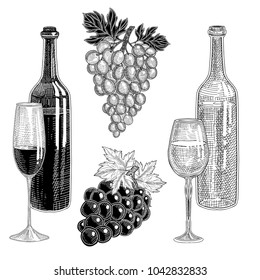 Wine bottles, bunches of grapes and glasses with dark red and white light grape wine. 