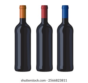 Wine bottles classic shape vector image