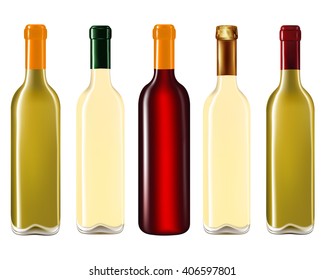 Wine bottles in row isolated on white background,Vector illustration