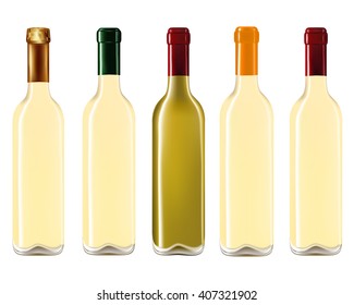 Wine bottles in row isolated on white background,Vector illustration