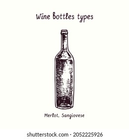 Wine bottles types collection, Merlot, Sangiovese. Ink black and white doodle drawing in woodcut style.